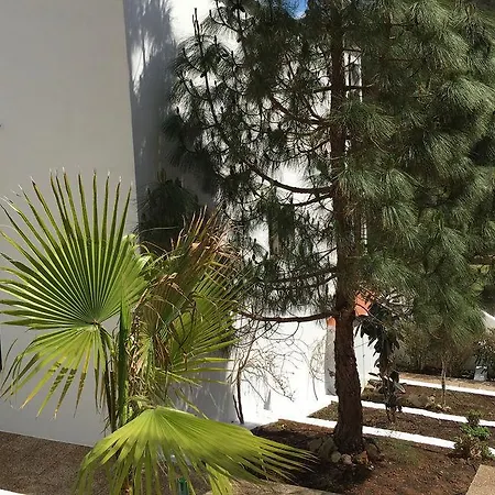 The Desmais * 칼라 갈다나